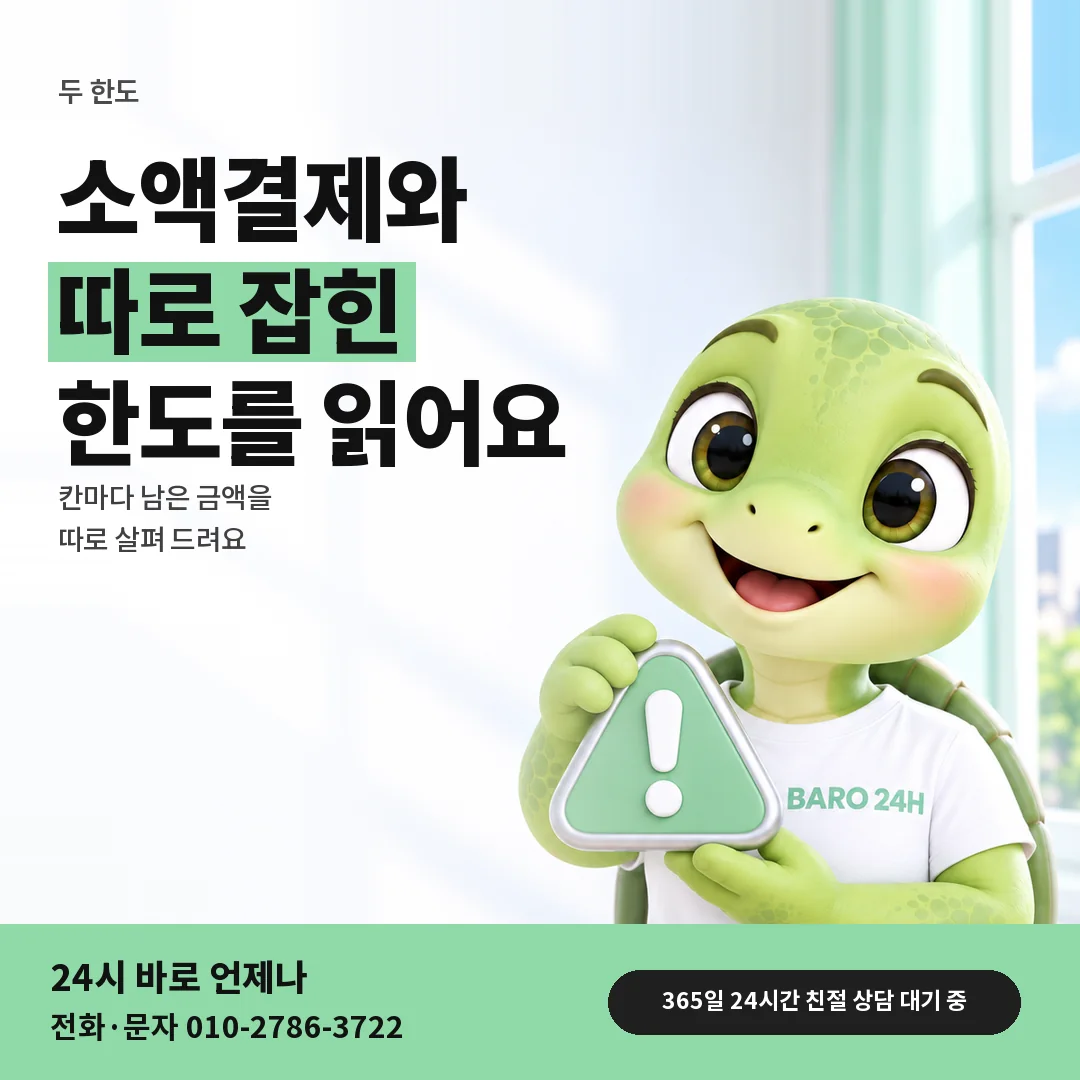 주의 표지판을 든 BARO 24H 티셔츠를 입은 3D 거북이 캐릭터 옆에 「소액결제와 따로 잡힌 한도」 제목을 얹은 안내 카드